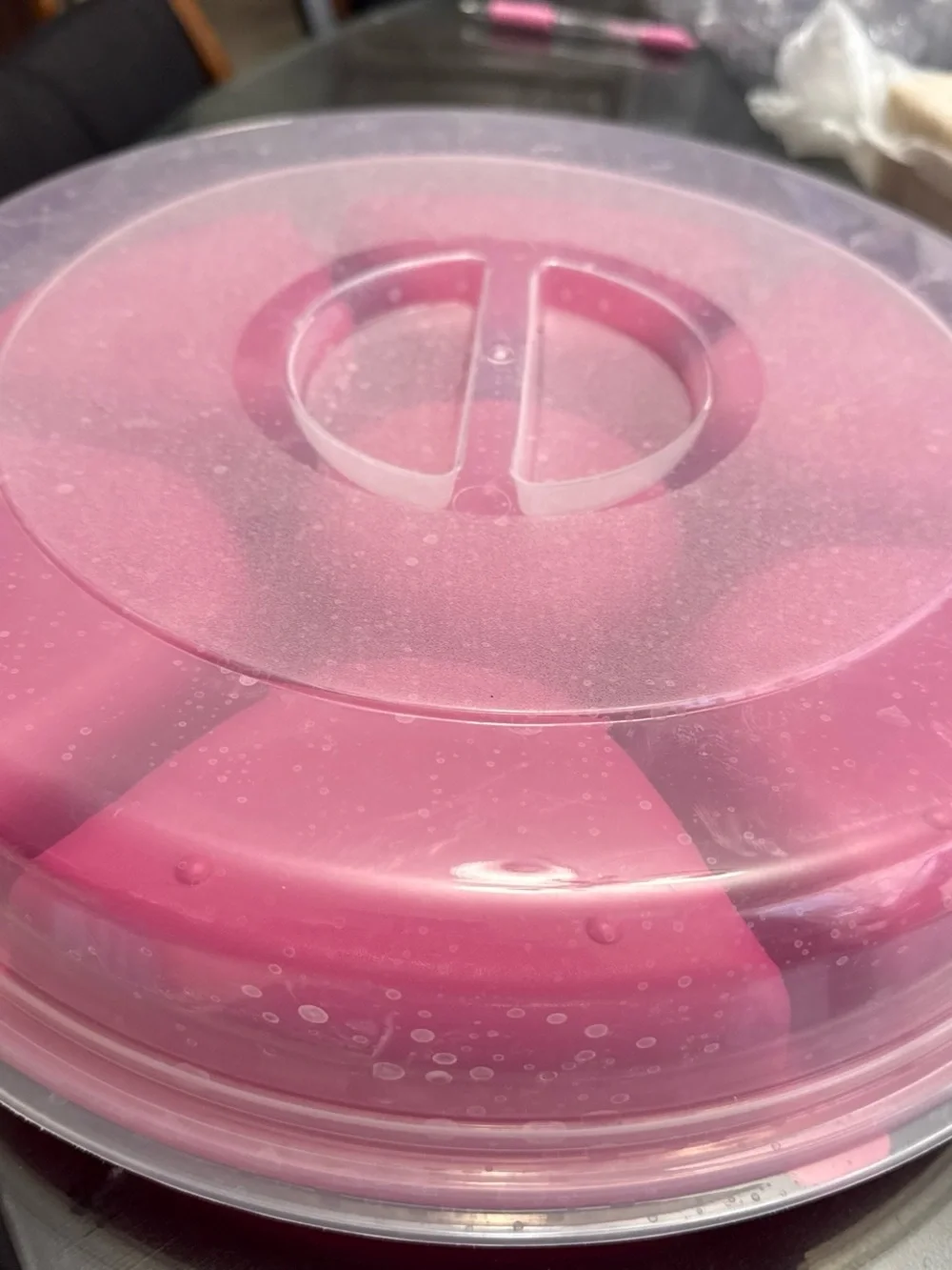 Bright Pink Sectioned Party Snack Tray - Disposable Tableware